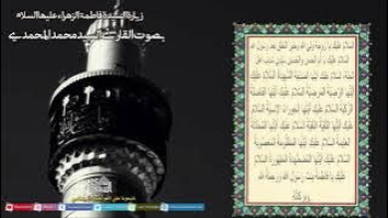 فيديو مصور - زيارة السيدة فاطمة الزهراء عليها السلام - القارئ سيد محمد المحمدي - شهر ربيع 1445