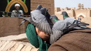 نعي - شهادة الإمام الجواد عليه السلام